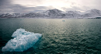 Lone Iceberg, Hamiltonbukta.  79°48'N, 011°51'E