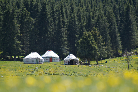 Yurts in the summer pastures
