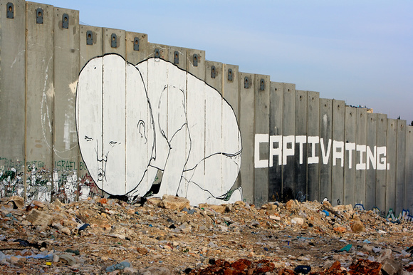 Dividing Wall; Bethlehem, Palestine