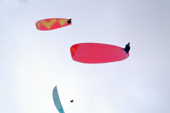 Paragliding 101