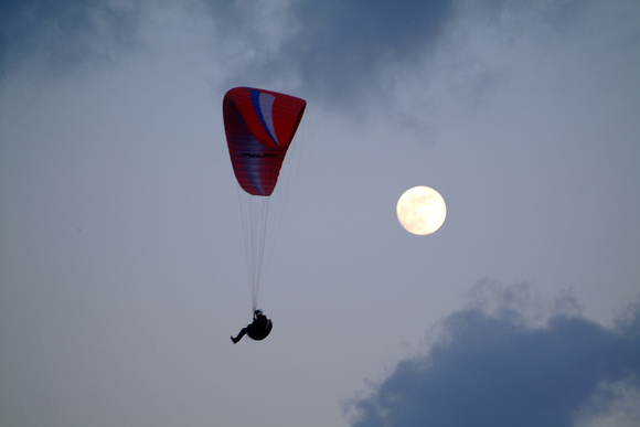 Paragliding 156