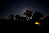 Camping in the Okavango Delta - Botswana