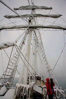 Antigua mast
