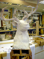 Modelling the Stag Head at Windsor Workshops.
